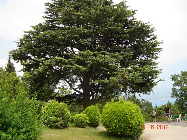 Татьяна Зорина