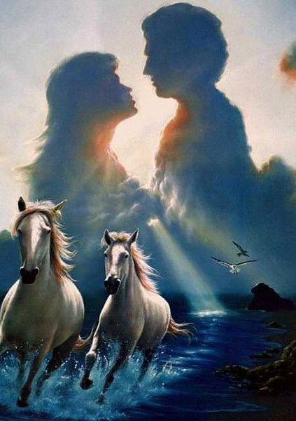 Дмитрий Петров