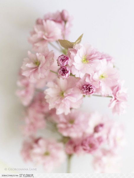 Динара Утешова