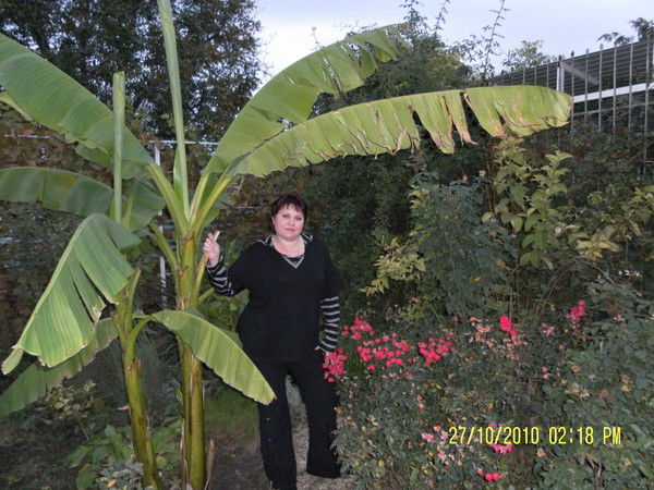 Светлана Каменюкина