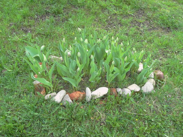 Максим Вернулся В Мир