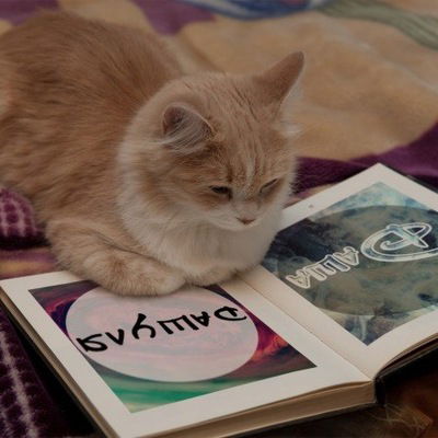 Дарья Ананий