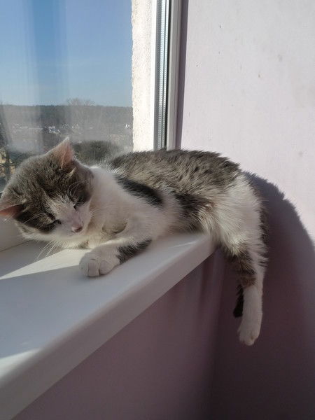 Сергей Кисляк