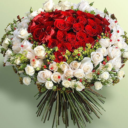 Латыфа Умм Аниса