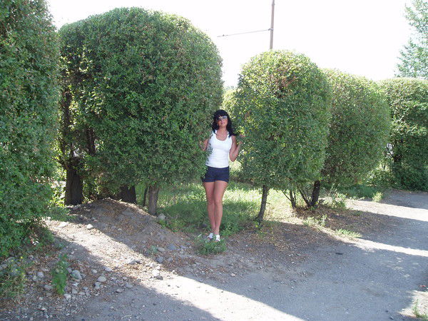 Елена Александровна