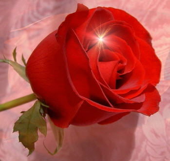 Ксения Титенская