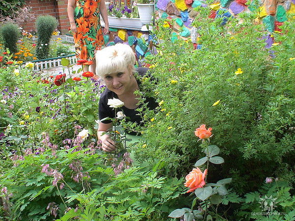 Мила Арсентьева