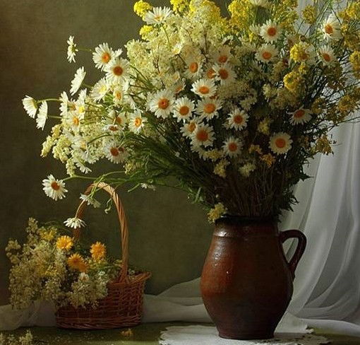 Вера Зализко