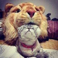 Айгуль Валерьевна