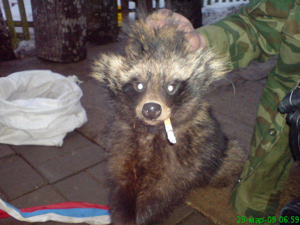 Дима Алексеев