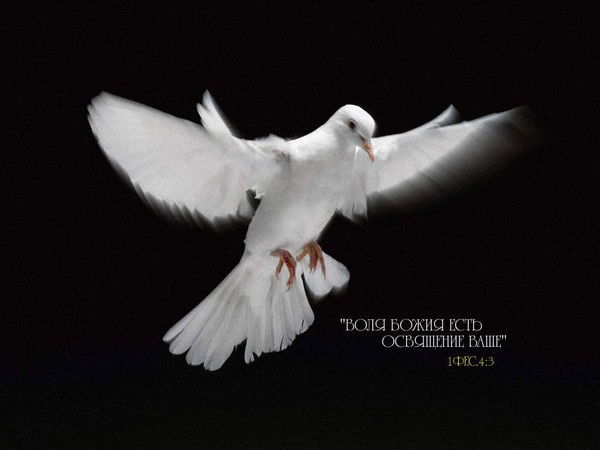 Владимир Баранов