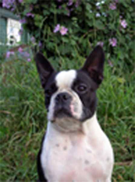 Инна Комарова