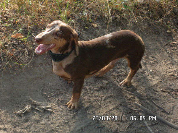 Наталья Умарова