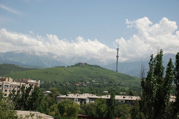 Алмас Даумов