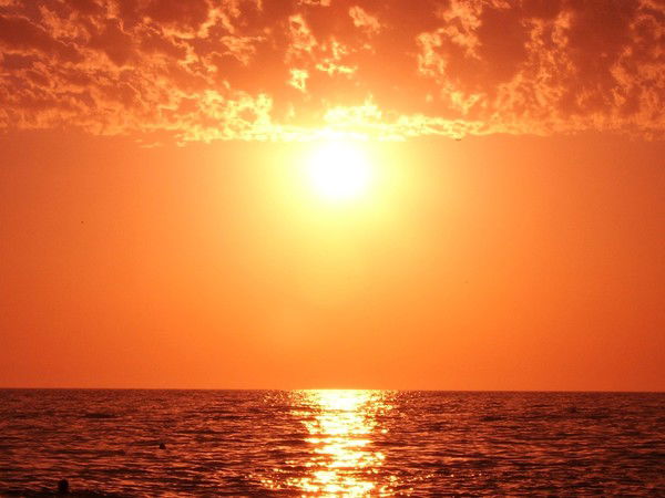 Лариса Юрикова