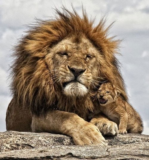 Георгий Реутов