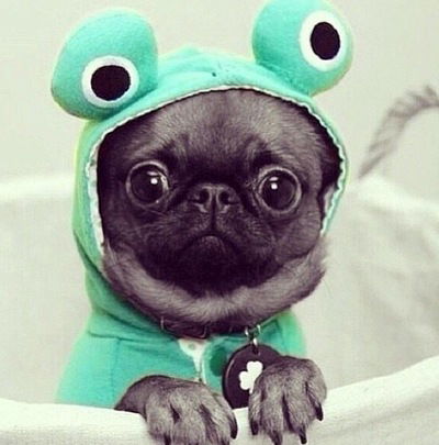 Софья Блохина