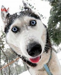 Алекс Круглов