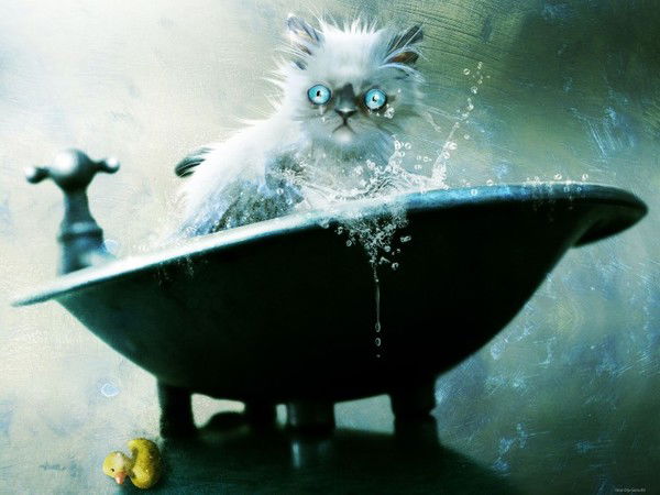 Реставрация Ванн 9883703