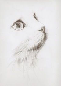 Аллa Солдатова