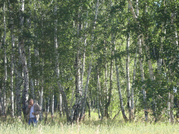 Алексей Кулешов