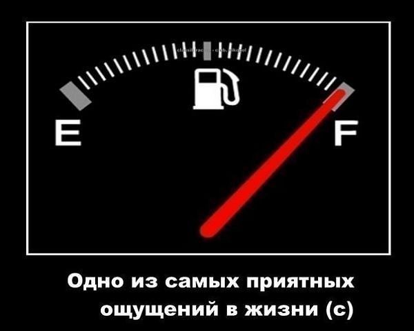 Алексей Шелков