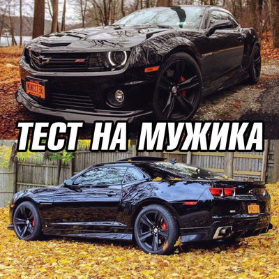 Чаян Машпалдыр