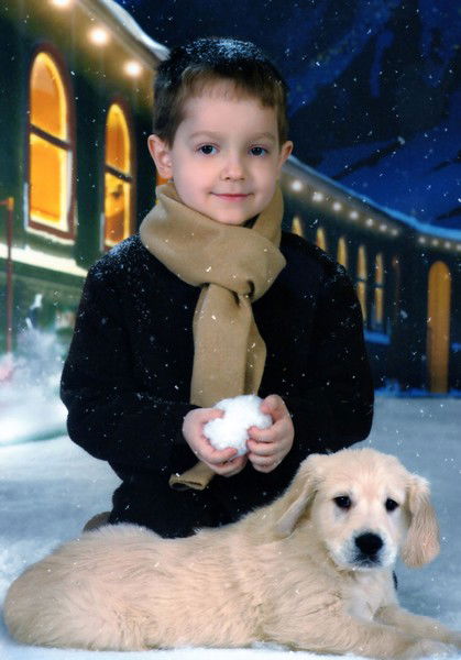 Елена Мерзликина