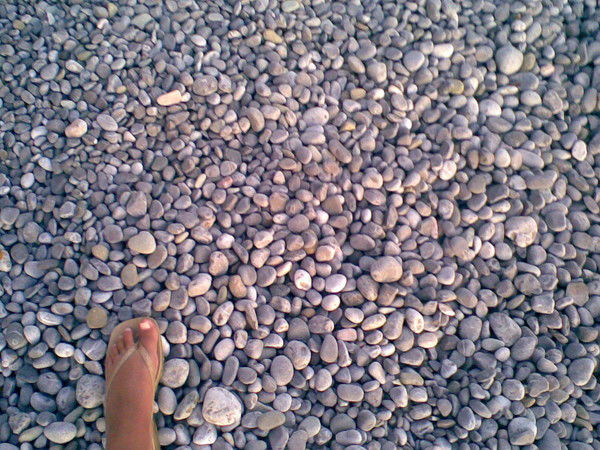 Оксана Гвоздецкая