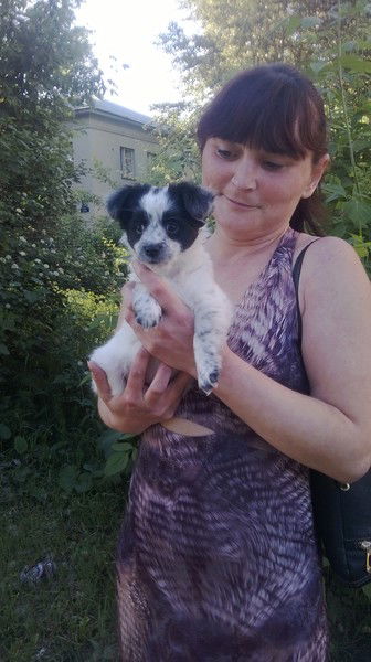 Оксана Короткая