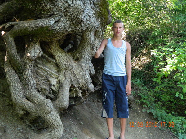 Андрей Алехин