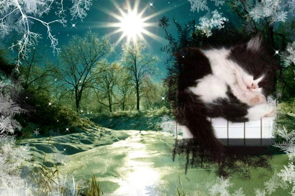 Лора Твинпикс