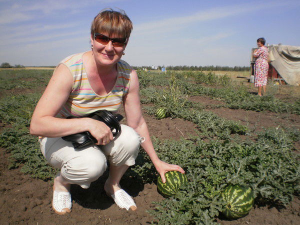 Елена Корзун