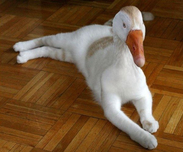 Михаил Мадыкин