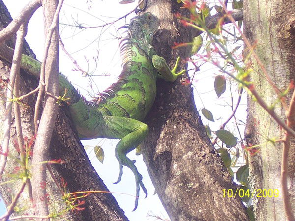 Любовь Федорова