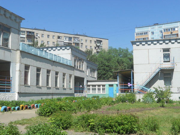 Светлана Наумова