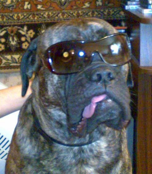 Динара Федотова