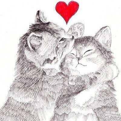 Елена Липачева