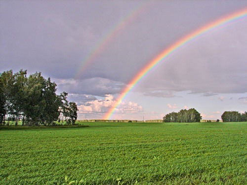 Вера Курилина