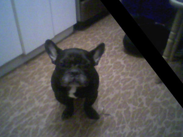 Дмитрий Баранников