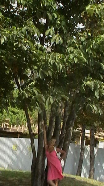 Елена Медведева