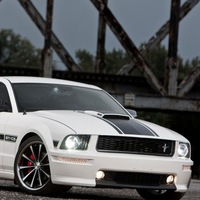 Стас Старавойтов