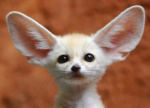 Катюха Смирнова