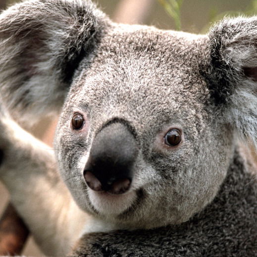 Тихонова Людмила