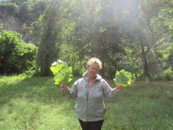 Ганна Саранцева