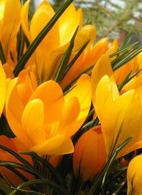 Ofis_Registrator Tirkeu_Ofisi