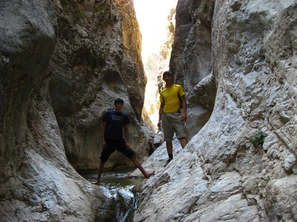 Тимур Зияев