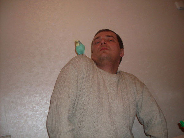 Сергей Забродин