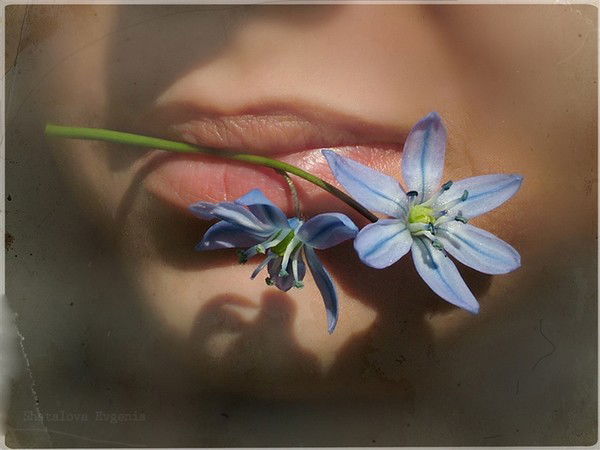 Инна Дорохова