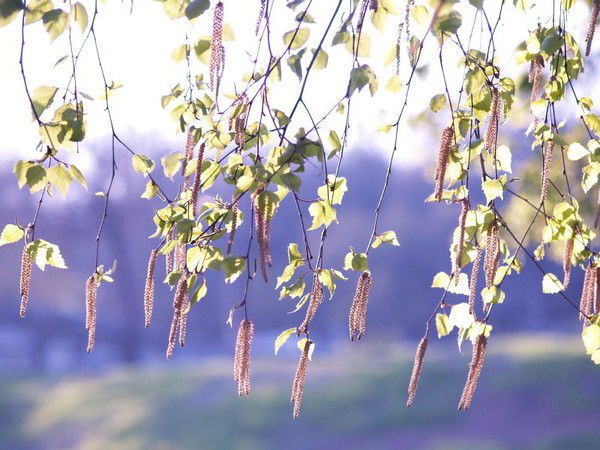 Татьяна Бобылева